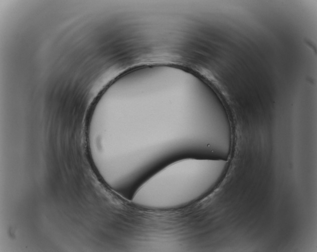 X0000103461469200809121046