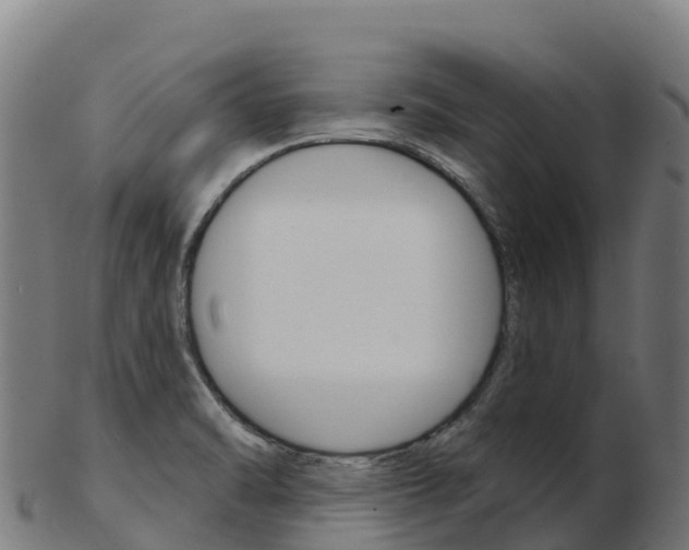 X0000103461470200809121046