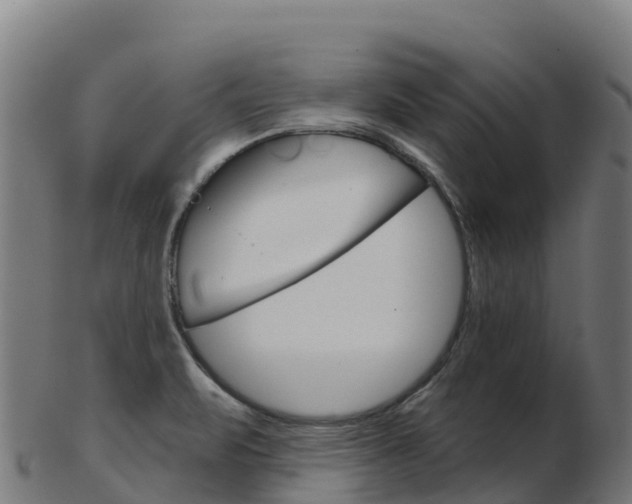 X0000103461471200809121046