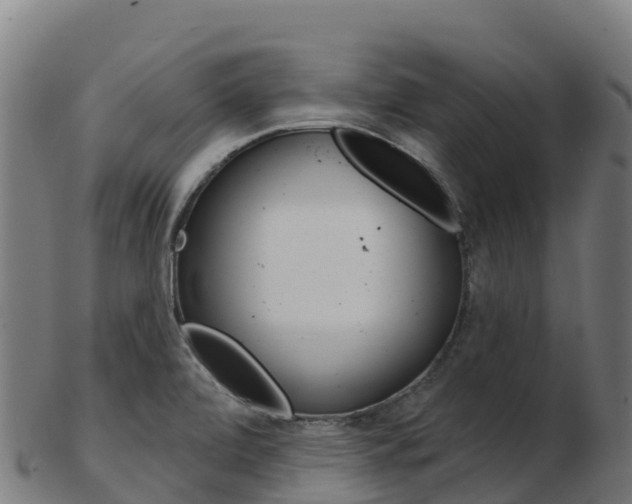 X0000103461472200809121046