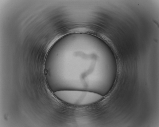 X0000103461473200809121046