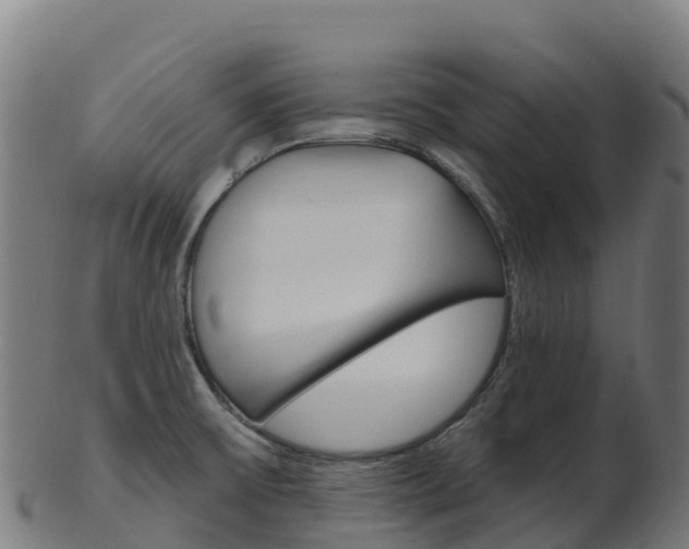 X0000103461475200809121046