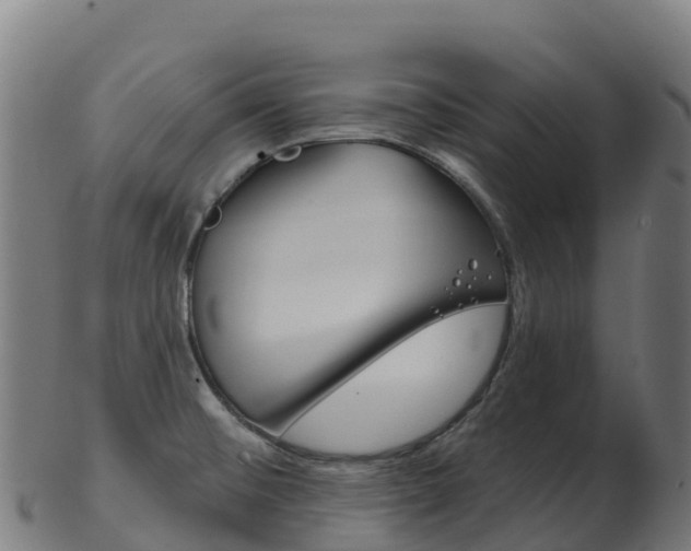 X0000103461476200809121046