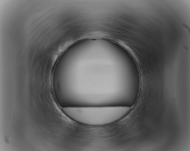 X0000103461477200809121046