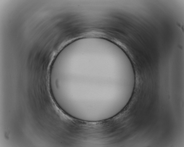 X0000103461478200809121046
