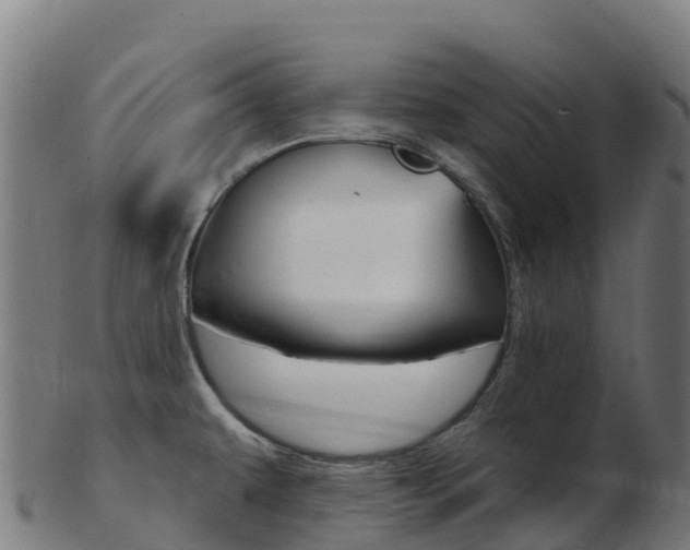 X0000103461479200809121046