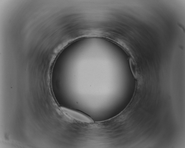X0000103461480200809121046