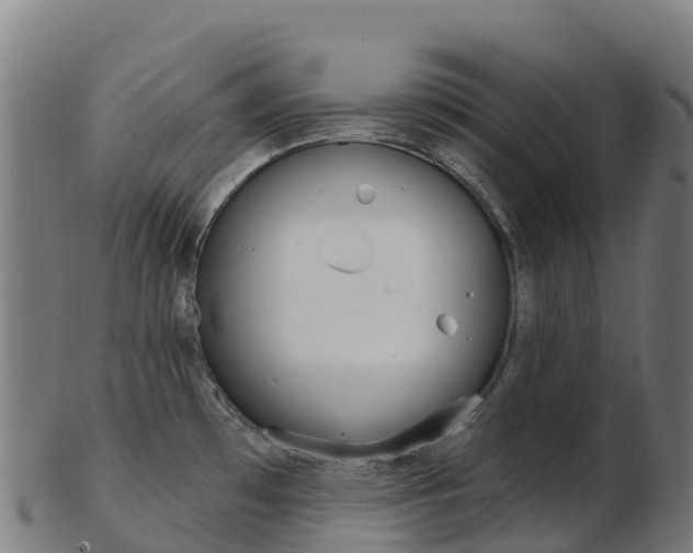 X0000103461481200809121046