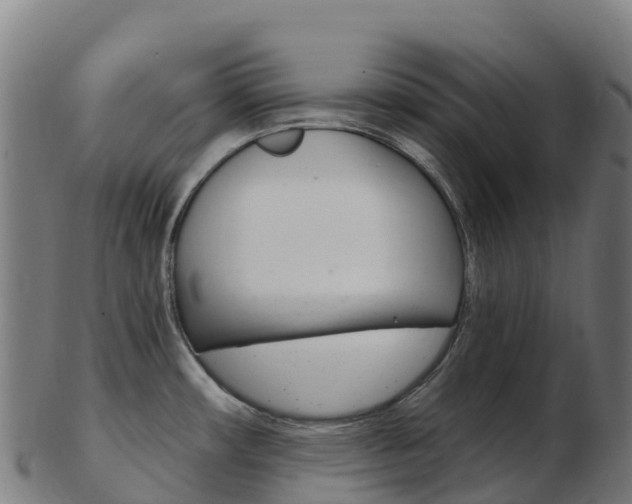 X0000103461482200809121046