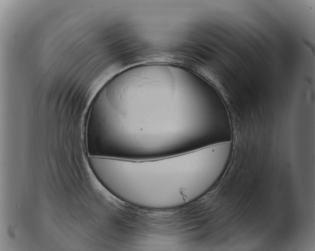 X0000103461483200809121046