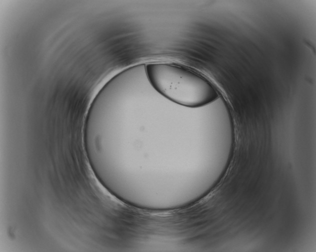 X0000103461484200809121046