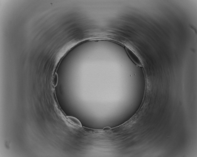 X0000103461485200809121046