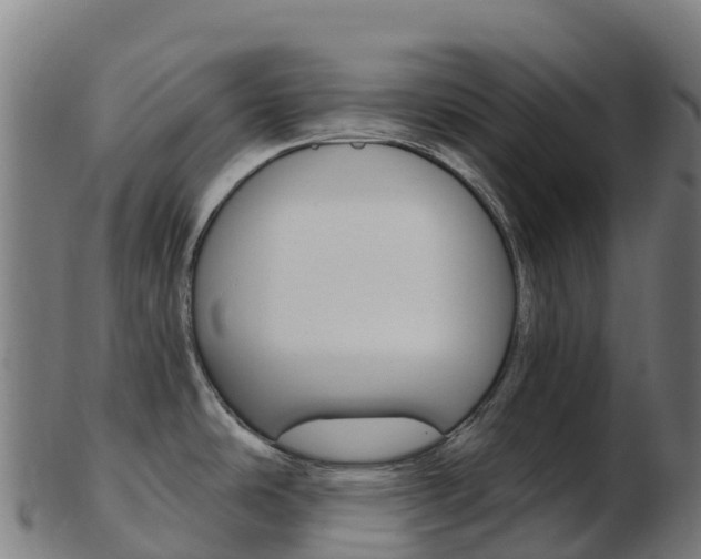 X0000103461486200809121046