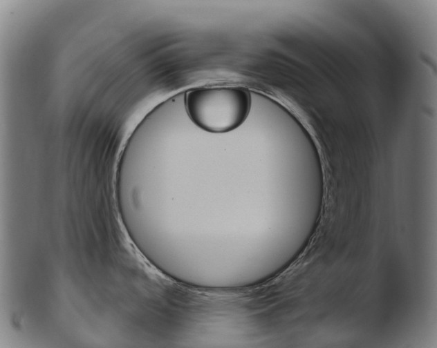 X0000103461488200809121046
