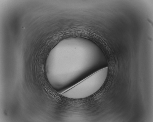 X0000103461489200809121045