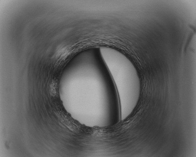 X0000103461490200809121045