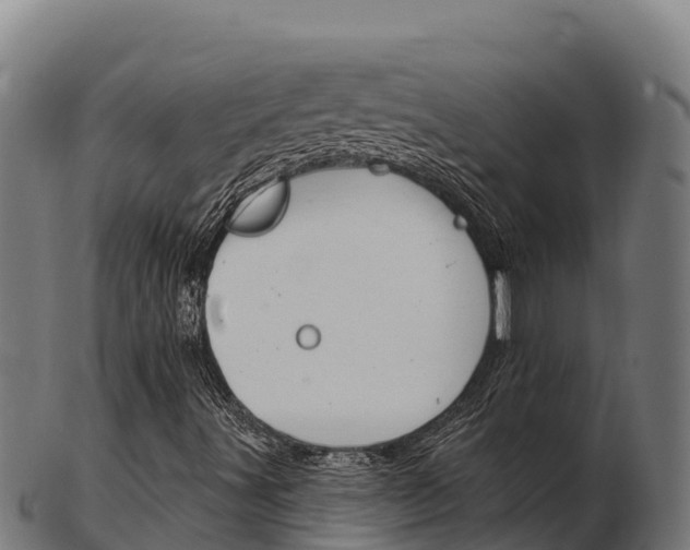 X0000103461491200809121045