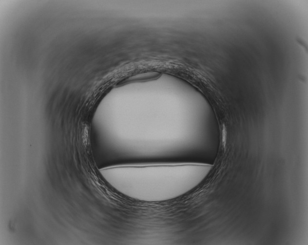 X0000103461492200809121045