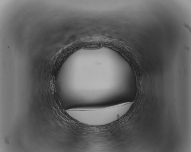 X0000103461493200809121045