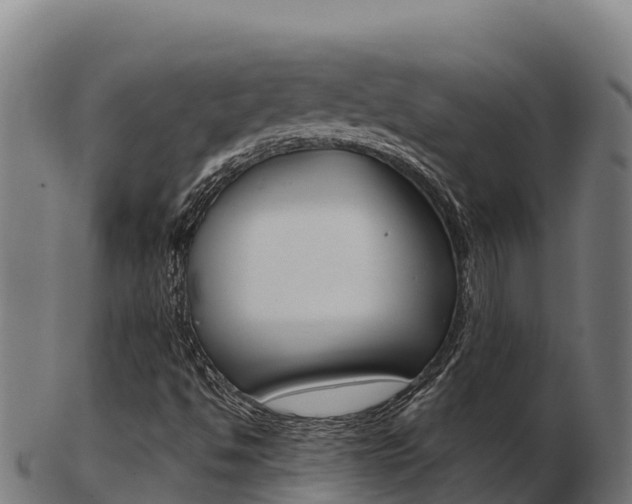 X0000103461494200809121045