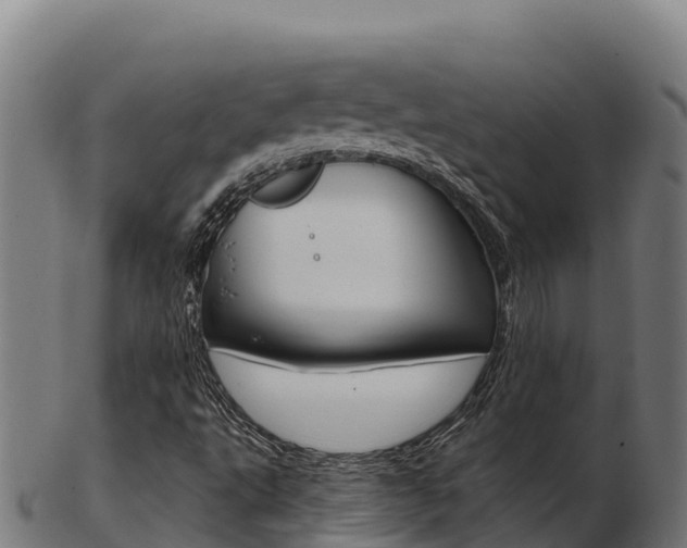 X0000103461495200809121045