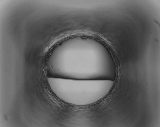 X0000103461496200809121045