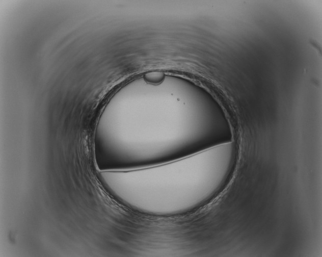 X0000103461497200809121046