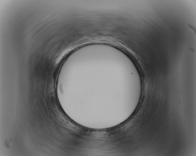 X0000103461498200809121046