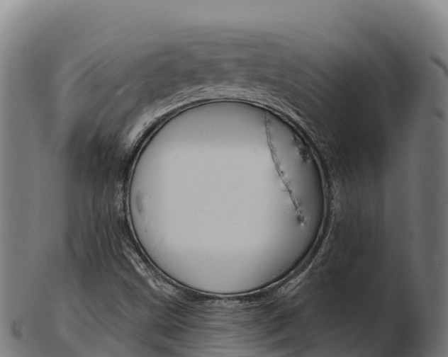 X0000103461499200809121046