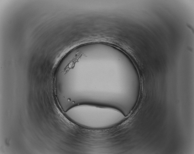 X0000103461500200809121046