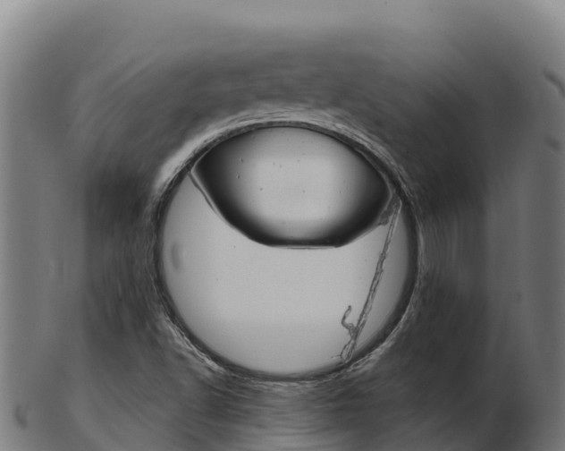 X0000103461502200809121046