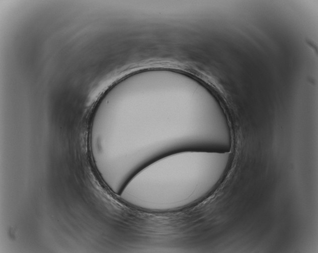 X0000103461504200809121046