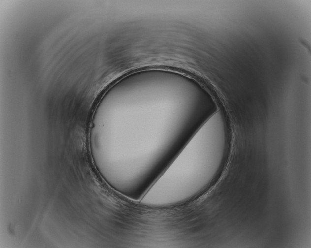 X0000103461505200809121046