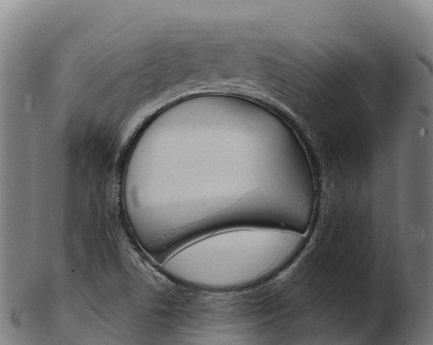 X0000103461506200809121046