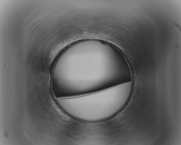 X0000103461507200809121046