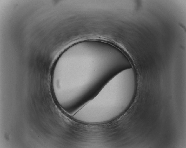 X0000103461508200809121046
