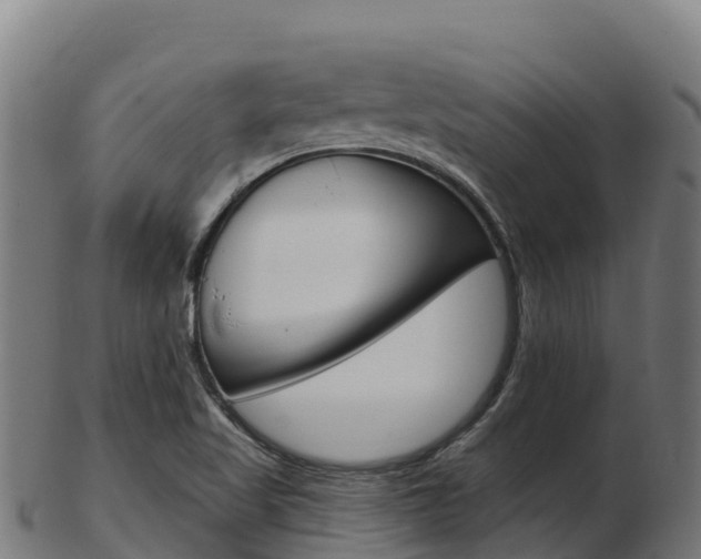X0000103461509200809121046