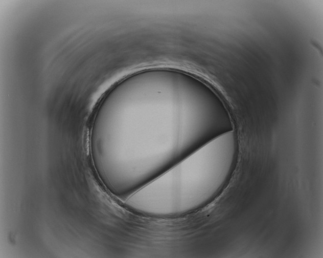 X0000103461510200809121046