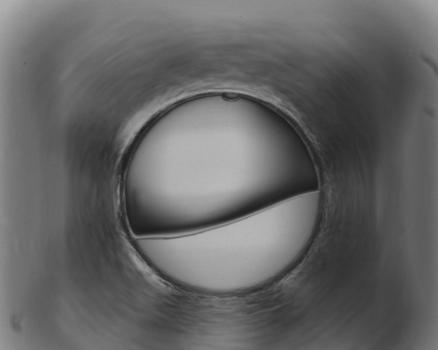 X0000103461511200809121046