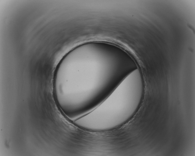 X0000103461512200809121046