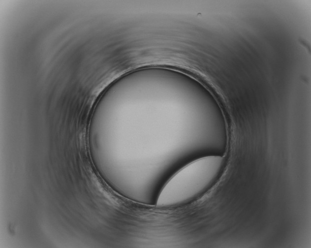 X0000103461513200809121046