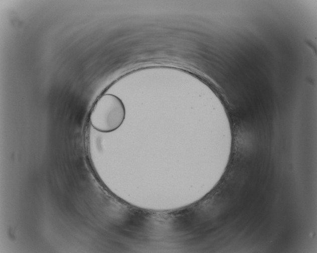X0000103461514200809121046