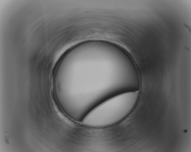 X0000103461515200809121046