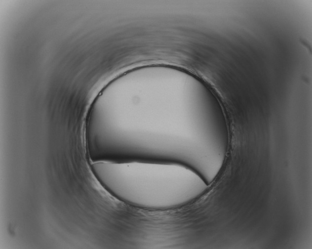 X0000103461516200809121046
