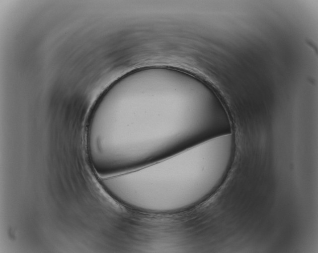 X0000103461517200809121046
