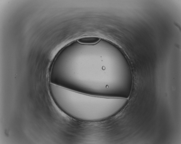 X0000103461519200809121046