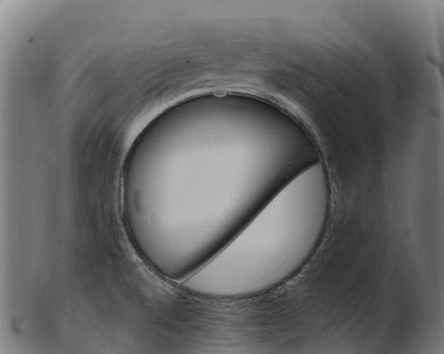 X0000103461520200809121046