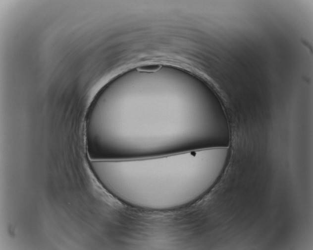 X0000103461522200809121046
