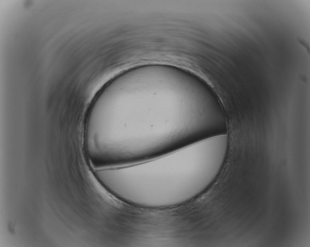 X0000103461523200809121046