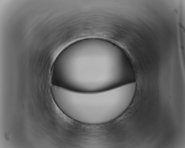 X0000103461524200809121046